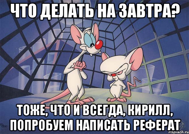 Что делать на завтра? Тоже, что и всегда, Кирилл, попробуем написать реферат, Мем ПИНКИ И БРЕЙН