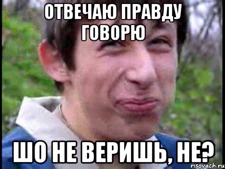 Отвечаю правду говорю шо не веришь, не?, Мем  Пиздун