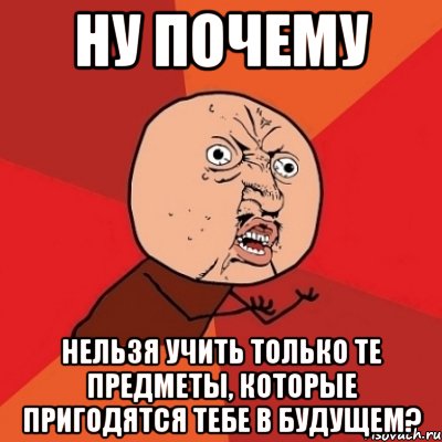 НУ ПОЧЕМУ НЕЛЬЗЯ УЧИТЬ ТОЛЬКО ТЕ ПРЕДМЕТЫ, КОТОРЫЕ ПРИГОДЯТСЯ ТЕБЕ В БУДУЩЕМ?, Мем Почему