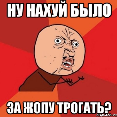 ну нахуй было за жопу трогать?, Мем Почему