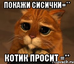 покажи сисички=** котик просит =**