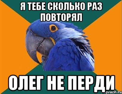 Я тебе сколько раз повторял Олег не перди, Мем Попугай параноик