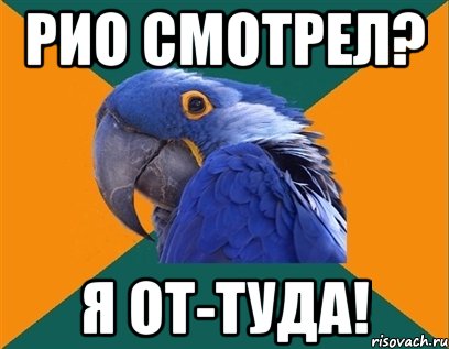 РИО смотрел? Я от-туда!, Мем Попугай параноик