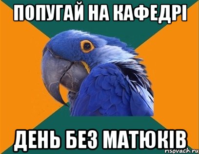 ПОПУГАЙ НА КАФЕДРІ ДЕНЬ БЕЗ МАТЮКІВ, Мем Попугай параноик