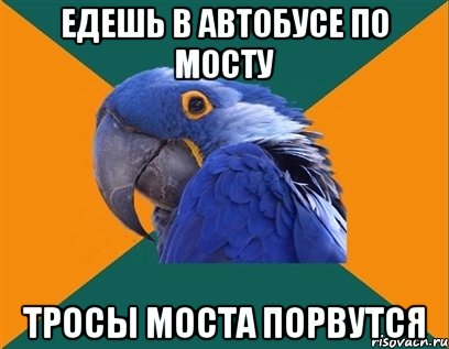 ЕДЕШЬ В АВТОБУСЕ ПО МОСТУ ТРОСЫ МОСТА ПОРВУТСЯ, Мем Попугай параноик