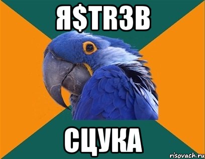 Я$TR3b СЦУКА, Мем Попугай параноик