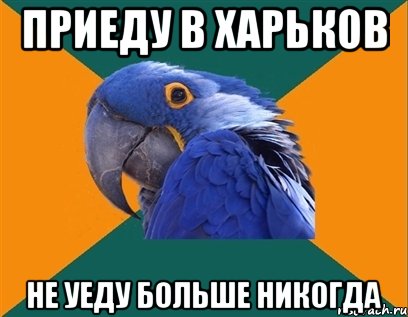 ПРИЕДУ В ХАРЬКОВ НЕ УЕДУ БОЛЬШЕ НИКОГДА, Мем Попугай параноик