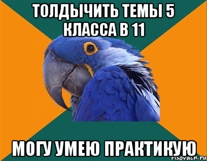 толдычить темы 5 класса в 11 МОГУ УМЕЮ ПРАКТИКУЮ, Мем Попугай параноик