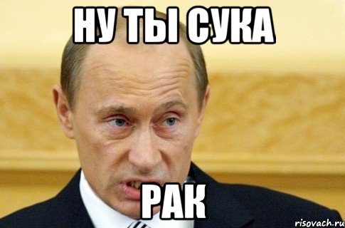 Ну ты сука РАК, Мем путин