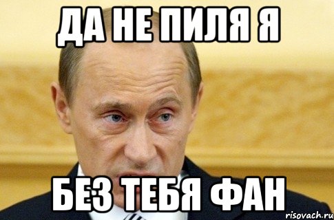 да не пиля я без тебя фан, Мем путин