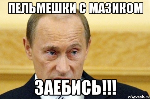 пельмешки с мазиком заебись!!!, Мем путин