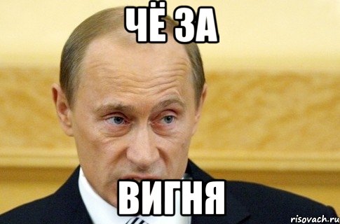 ЧЁ ЗА ВИГНЯ, Мем путин