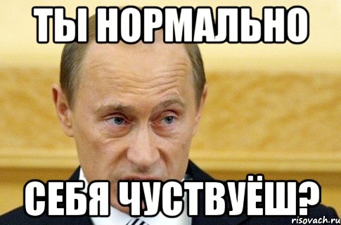 ты нормально себя чуствуёш?, Мем путин