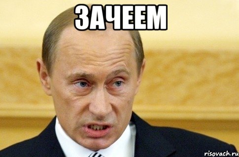 зачеем , Мем путин