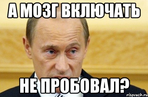 А мозг включать не пробовал?, Мем путин