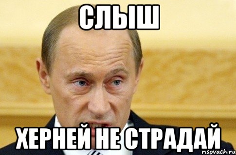 Слыш Херней не страдай, Мем путин