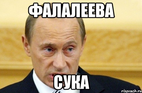 Фалалеева сука, Мем путин