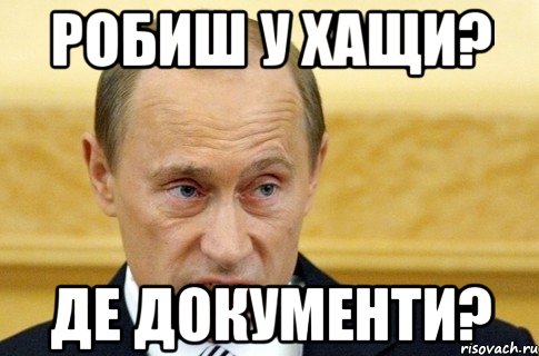 робиш у хащи? де документи?, Мем путин