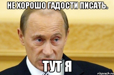 не хорошо гадости писать. тут я, Мем путин