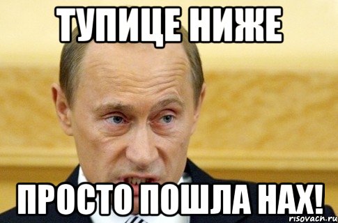 Тупице ниже Просто пошла нах!, Мем путин