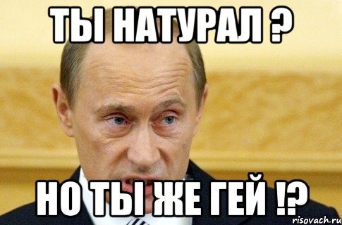 ты натурал ? но ты же гей !?, Мем путин