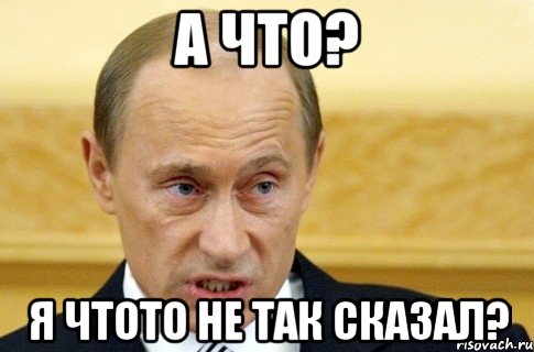 А что? Я чтото не так сказал?, Мем путин