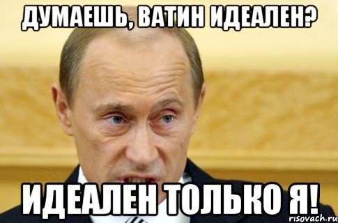 Думаешь, Ватин идеален? Идеален только я!, Мем путин