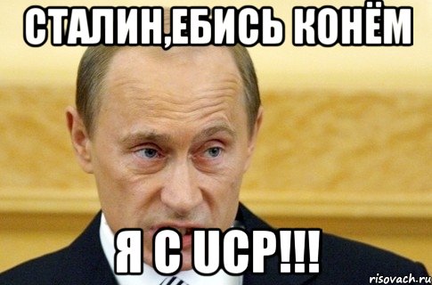 Сталин,ебись конём Я с UCP!!!, Мем путин