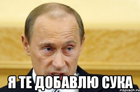  Я те добавлю сука, Мем путин