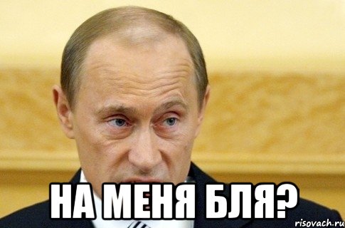  На меня бля?, Мем путин