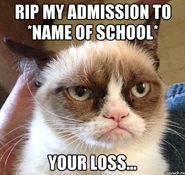 RIP my admission to *name of school* Your loss..., Мем Грустный (сварливый) кот