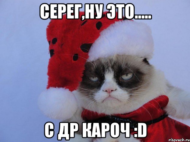 Серег,ну это..... с др кароч :D, Мем   С нг кароч