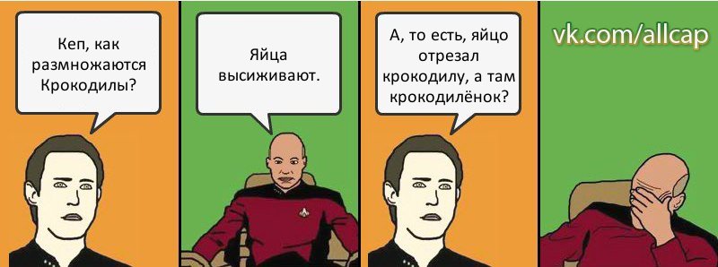 Кеп, как размножаются Крокодилы? Яйца высиживают. А, то есть, яйцо отрезал крокодилу, а там крокодилёнок?, Комикс с Кепом