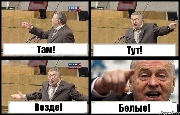 Там! Тут! Везде! Белые!, Комикс с Жириновским