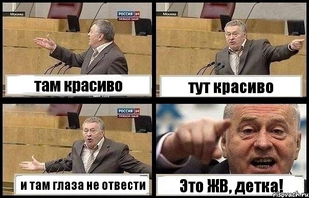 там красиво тут красиво и там глаза не отвести Это ЖВ, детка!, Комикс с Жириновским