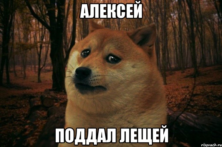 алексей поддал лещей, Мем SAD DOGE