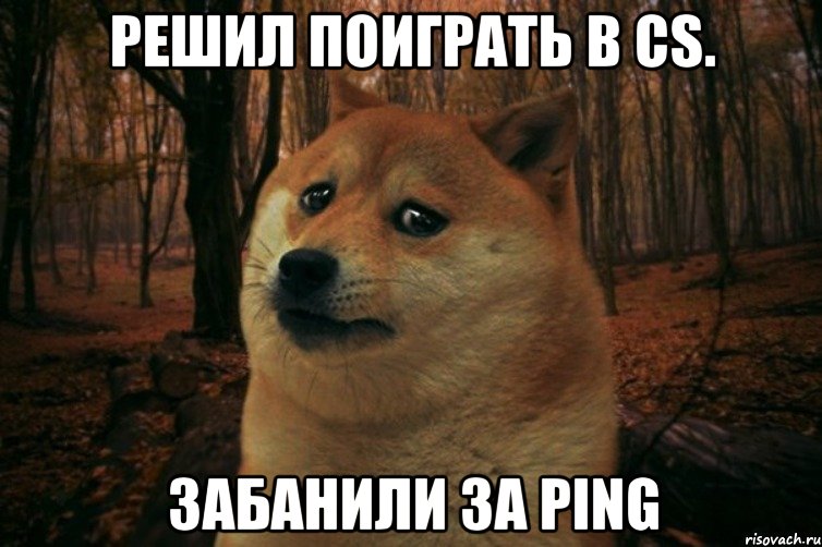 Решил поиграть в CS. Забанили за PING, Мем SAD DOGE