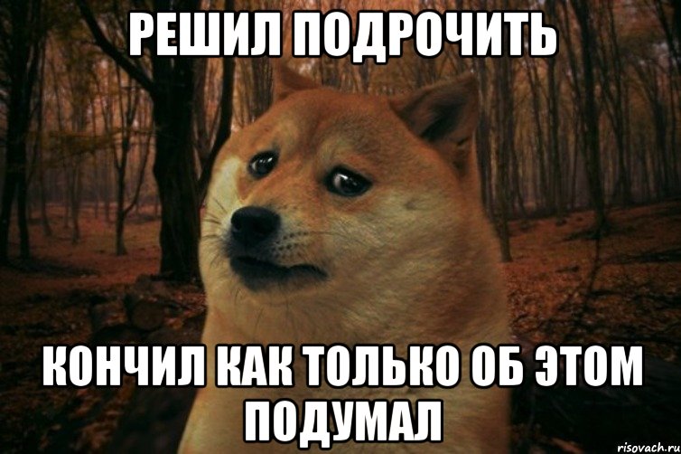 решил подрочить кончил как только об этом подумал, Мем SAD DOGE