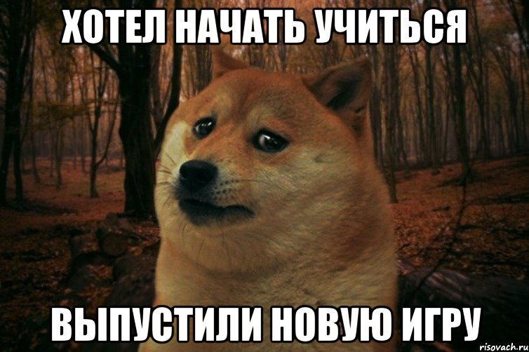 Хотел начать учиться Выпустили новую игру, Мем SAD DOGE