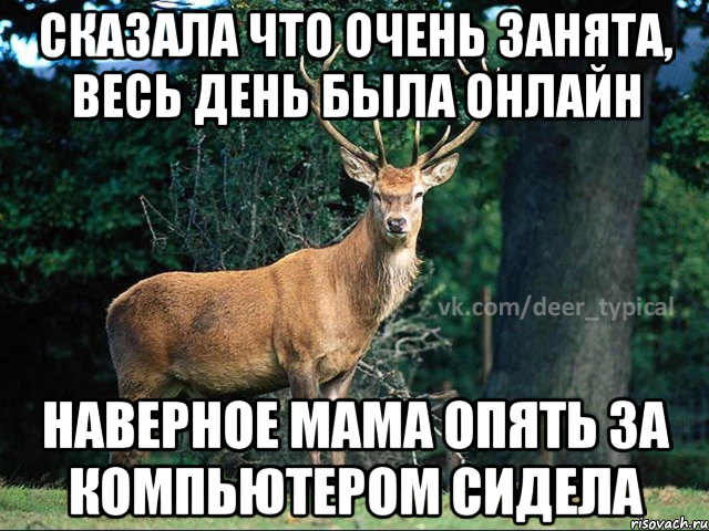 сказала что очень занята, весь день была онлайн наверное мама опять за компьютером сидела
