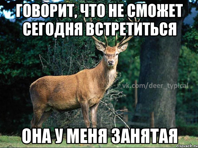 ГОВОРИТ, ЧТО НЕ СМОЖЕТ СЕГОДНЯ ВСТРЕТИТЬСЯ ОНА У МЕНЯ ЗАНЯТАЯ