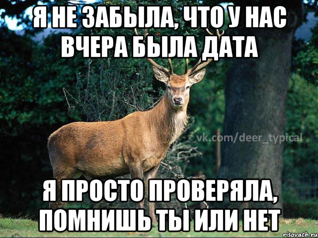я не забыла, что у нас вчера была дата я просто проверяла, помнишь ты или нет, Мем Паблик Типичный олень