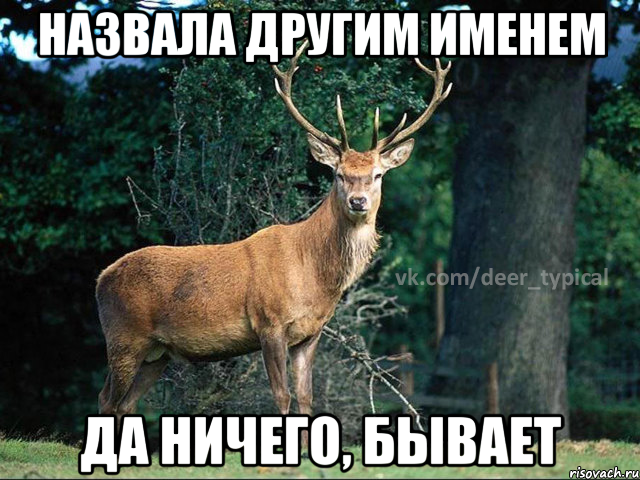 назвала другим именем да ничего, бывает