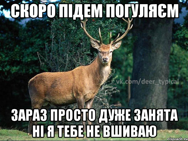 скоро підем погуляєм зараз просто дуже занята ні я тебе не вшиваю, Мем Паблик Типичный олень