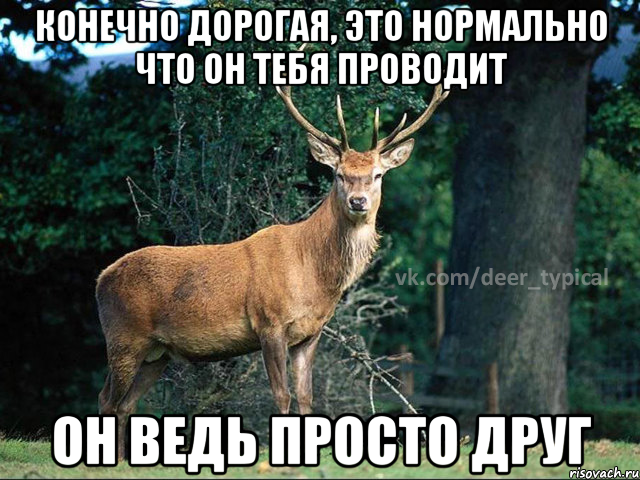 конечно дорогая, это нормально что он тебя проводит он ведь просто друг