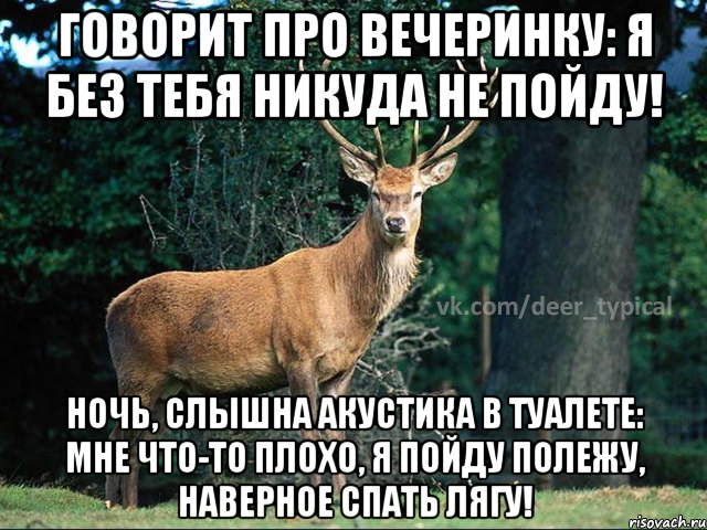 Говорит про вечеринку: Я без тебя никуда не пойду! Ночь, слышна акустика в туалете: мне что-то плохо, я пойду полежу, наверное спать лягу!, Мем Паблик Типичный олень
