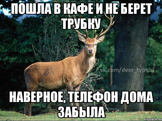 ПОШЛА В КАФЕ И НЕ БЕРЕТ ТРУБКУ НАВЕРНОЕ, ТЕЛЕФОН ДОМА ЗАБЫЛА