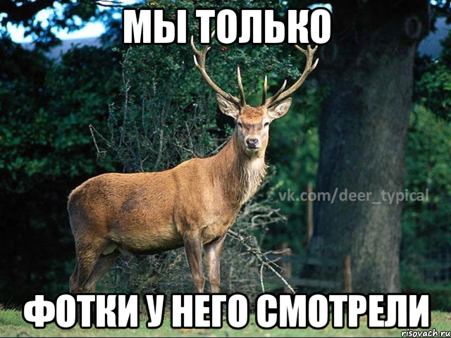 мы только фотки у него смотрели