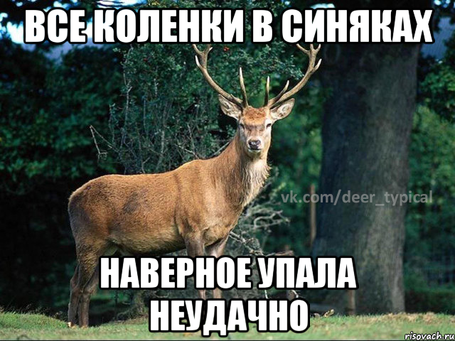 все коленки в синяках наверное упала неудачно