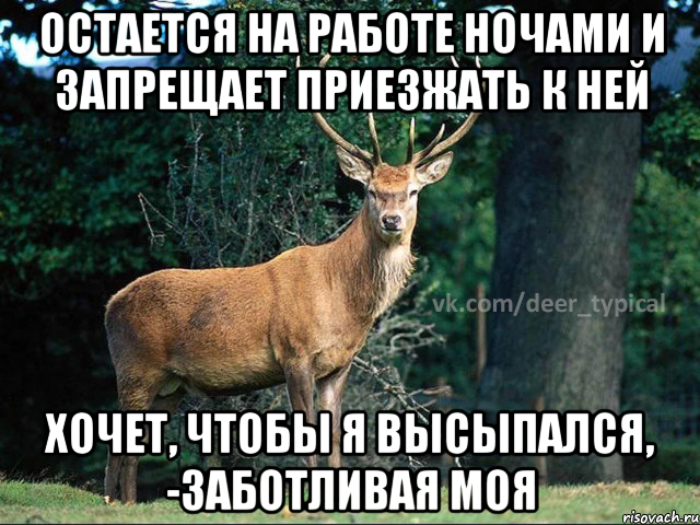ОСТАЕТСЯ НА РАБОТЕ НОЧАМИ И ЗАПРЕЩАЕТ ПРИЕЗЖАТЬ К НЕЙ ХОЧЕТ, ЧТОБЫ Я ВЫСЫПАЛСЯ, -ЗАБОТЛИВАЯ МОЯ